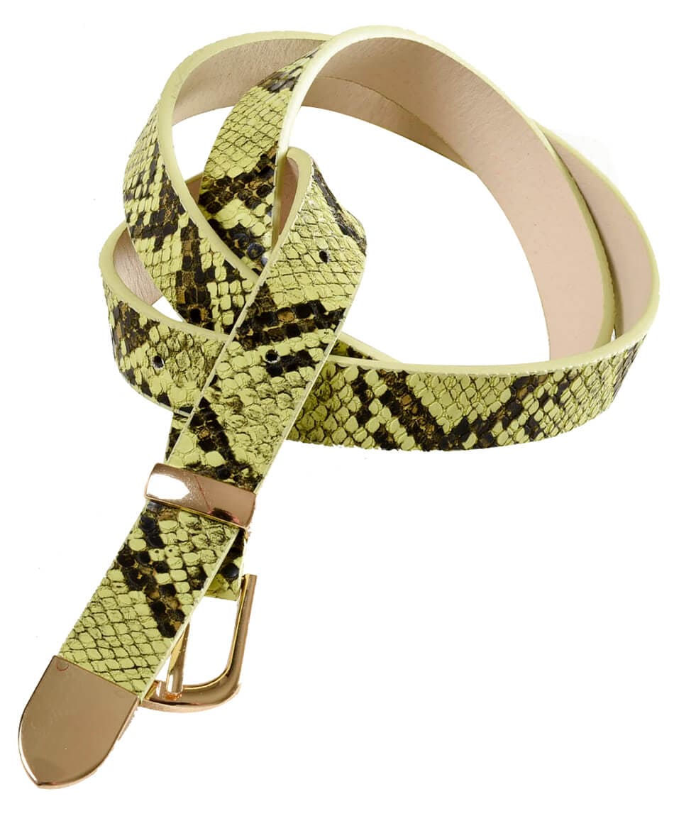 CINTURON PITON NEON CINTURON PITON NEON